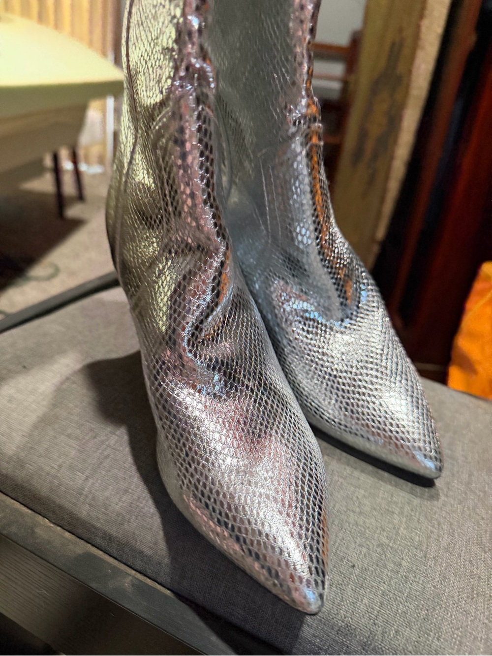 Silver Metallic Pointed-Toe Women's Boots